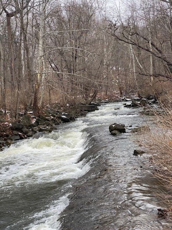 Low water run and Gauge Report