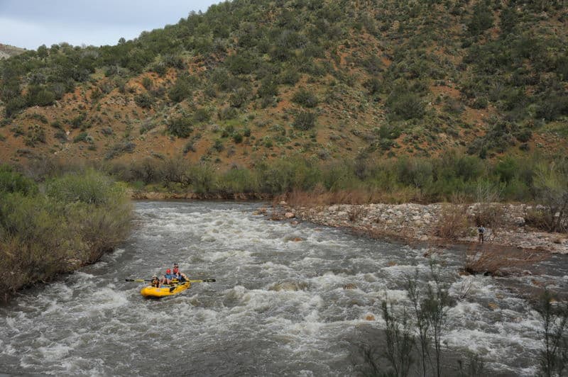 Three Way Rapid