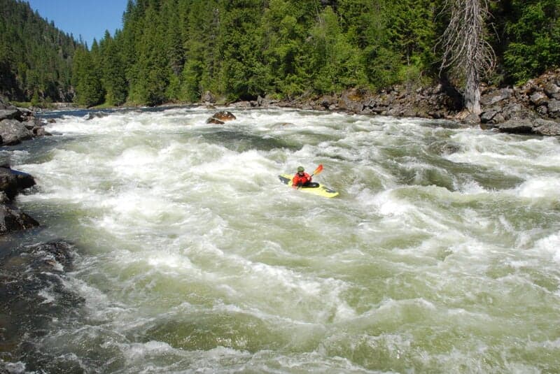 Grim Reaper Rapid