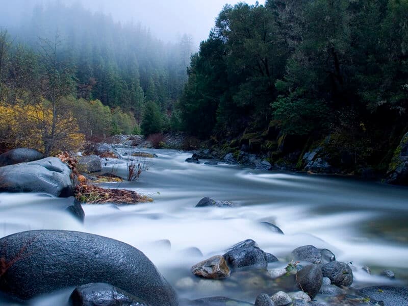 Little NF Confluence in Moonlight