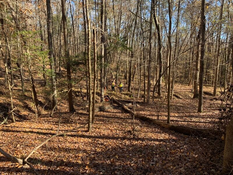 Final Trail Layout Day
