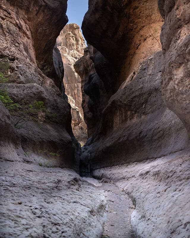 Trip report photo
