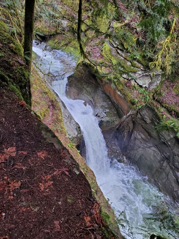 Racehorse Falls