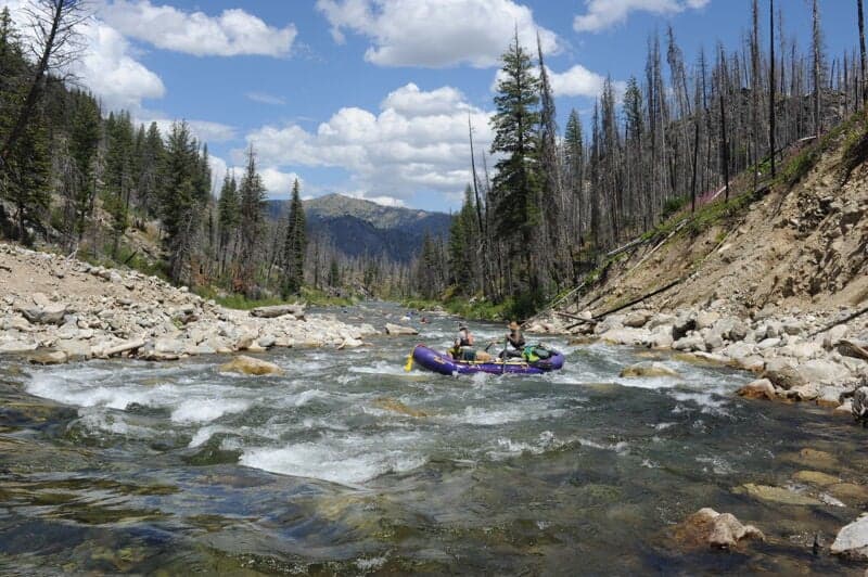 Ramshorn Rapid