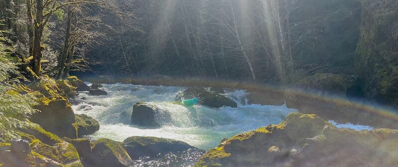 Friendly flows