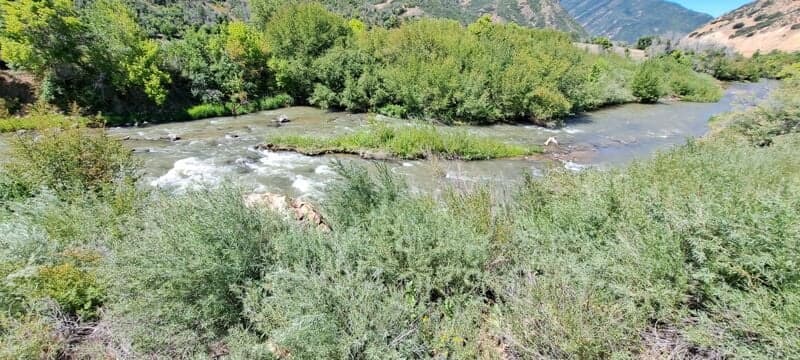 Same great river after record spring snowmelt