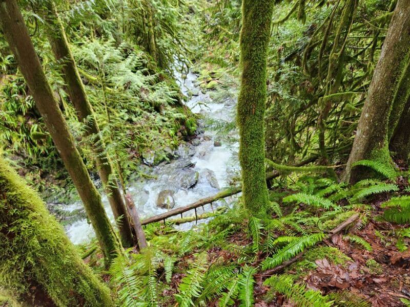 View of the Lower Gorge from the top
