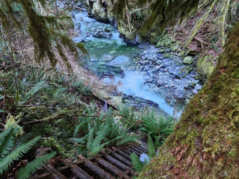 Trail at the USGS Gauge