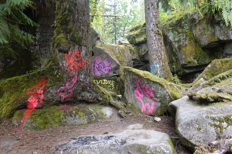 Eagle Falls Site Visit