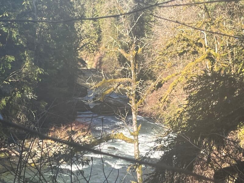 Riverwide logjam