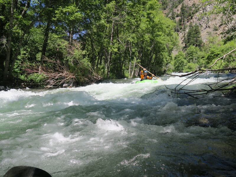 600 cfs Optimal Flow