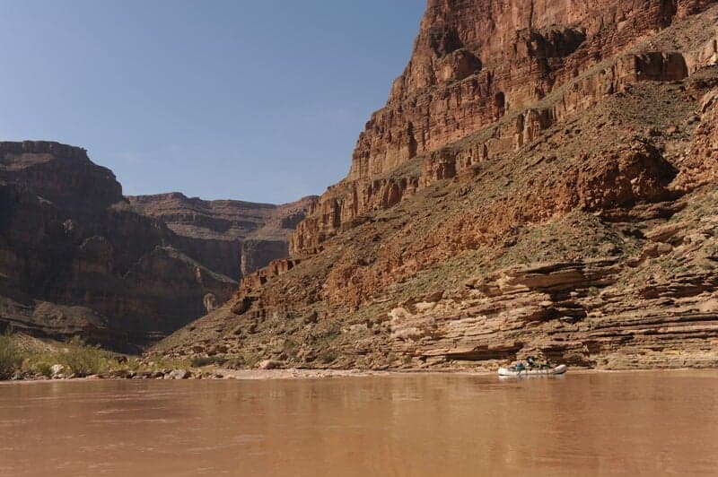 Forster Rapid (5)