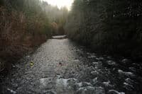 The View Looking Upstream from the Forest Road 2918 Bridge
