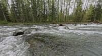 Weir