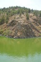 Iron Gate Reservoir Algal Bloom