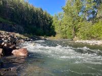 Corner Rapid