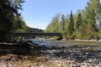 Bullfrog Road Access Shoreline
