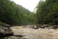 Stairstep Rapid