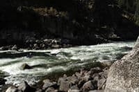 Taka on Vinegar Creek