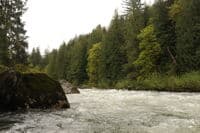 House Rocks Looking Upstream