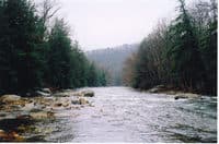 Laurel Hill