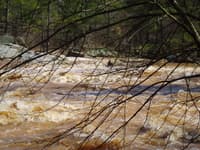 First Rapid Below the Dam 2
