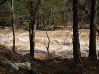 First Rapid Below the Dam 5