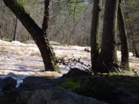 First Rapid Below the Dam 8