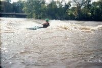 Take-out wave (full size)