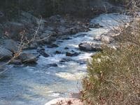 river from riverside hiking trail