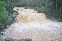 The Falls