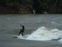Carve