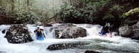 (RM) Put-In Rapid