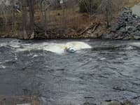 early season carves