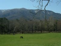 View in Cades Cove
