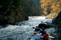 Paddlesnake ledge