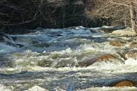 Surprise Rapid