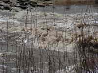 High water, big hole
