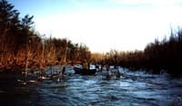 Dry Doldrums