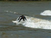 Cutback