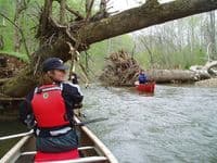 Deadfall tree on the Upper Rapp (above 645)