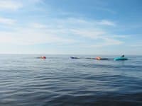 The Lake Superior group roll
