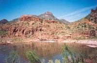 Salt River put in