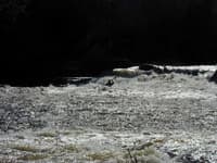running crib dam drop