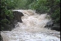 The Main Drop
