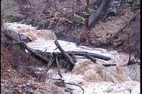 Wood in George