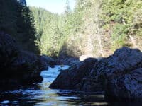 California Rapid