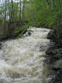 Left Channel Mill Race - Top Portion at 9.4'