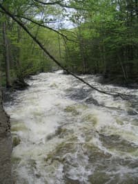 Left Channel Mill Race - Middle to Bottom at 9.4'