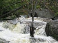 Entry into the right channel of Mill Race